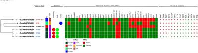 Occurrence, antimicrobial resistance and genomic features of Klebsiella pneumoniae from broiler chicken in Faisalabad, Pakistan